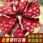 会理石榴 硬籽精品甜石榴**水果果园直发 一件代发