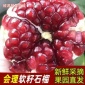 会理石榴突尼斯软籽石榴 甜石榴一级产地直发净重5斤礼盒装